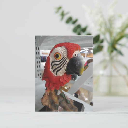 Parrort Head Briefkaart (Staand voorkant)