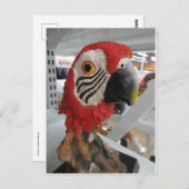 Parrort Head Briefkaart (Voorkant / Achterkant)