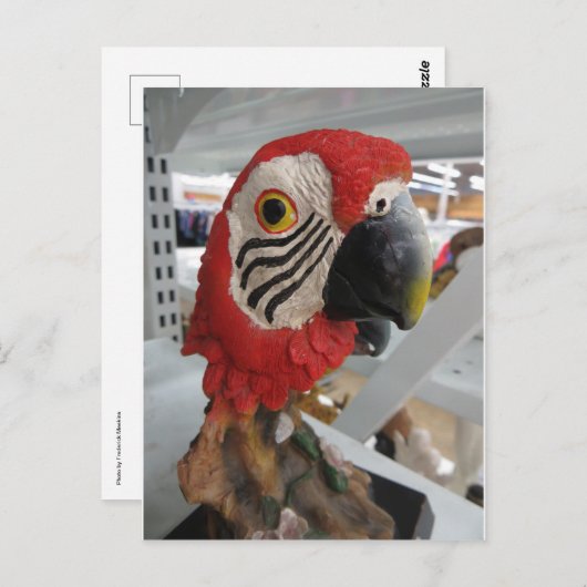 Parrort Head Briefkaart (Voorkant / Achterkant)