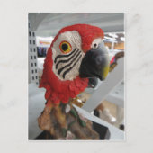 Parrort Head Briefkaart (Voorkant)