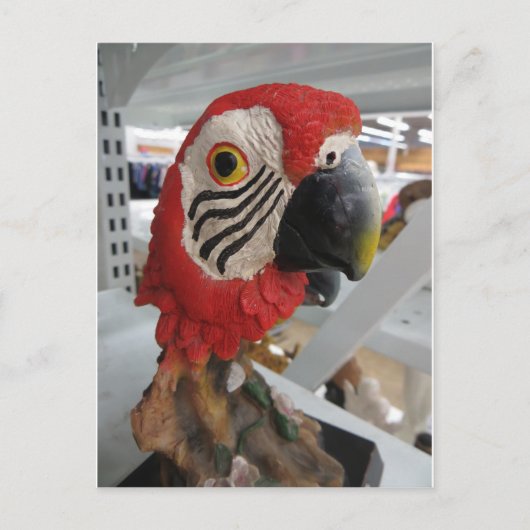 Parrort Head Briefkaart (Voorkant)