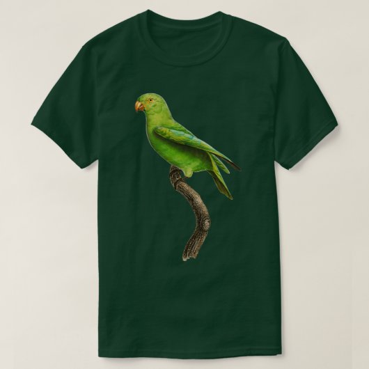 Parrot 17 Public Domain Afbeelding T-shirt (Design voorkant)