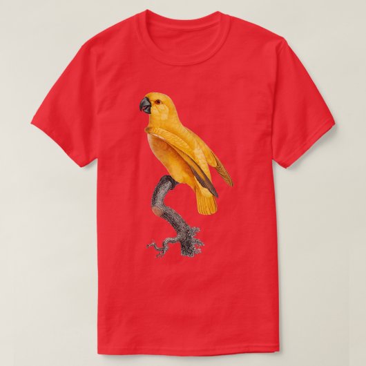 Parrot 30 Public Domain Afbeelding T-shirt (Design voorkant)
