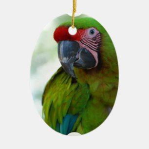parrot-63.jpg keramisch ornament