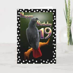 Parrot African Gray bird polka stip 19 Birthday Kaart