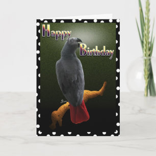 Parrot Afrikaanse Grijs Gelukkige Verjaardag Avian Kaart