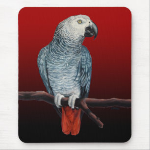 Parrot Art Mousepad African Grey Parrot Gifts Muismat
