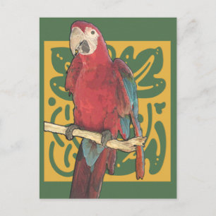Parrot Art Nouveau Briefkaart