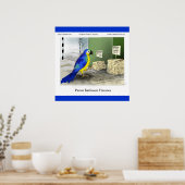 Parrot Bathroom Fixtures Fine Art Funny Posters (Keuken)