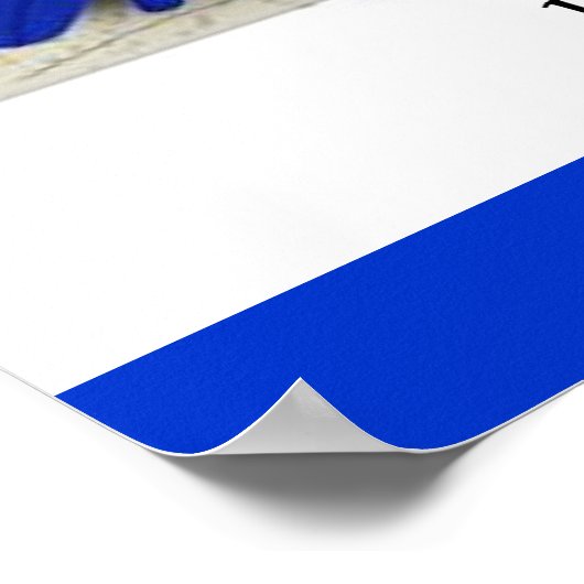 Parrot Bathroom Fixtures Fine Art Funny Posters (Hoek)