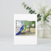Parrot Bathroom Fixtures Funny Cartoon Gifts Briefkaart (Staand voorkant)