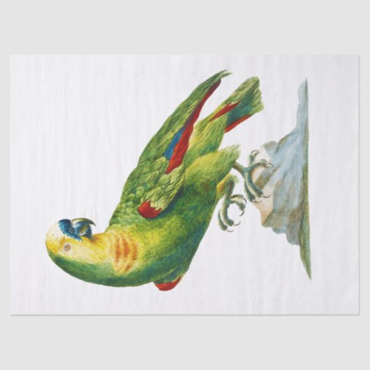Parrot Bird  Art Tissuepapier (Voorkant)