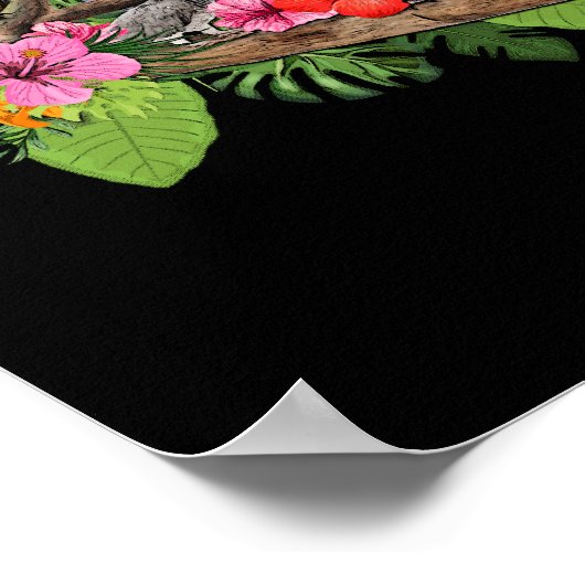 Parrot Bird Gray Parrot Cockatiel Poster (Hoek)