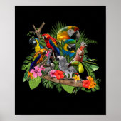 Parrot Bird Gray Parrot Cockatiel Poster (Voorkant)