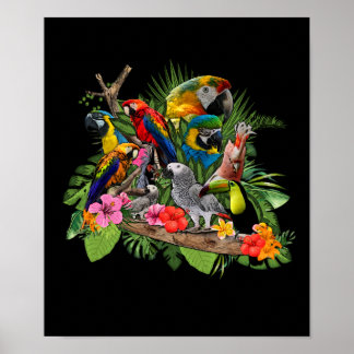 Parrot Bird Gray Parrot Cockatiel Poster