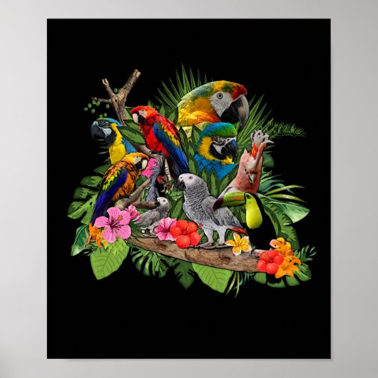 Parrot Bird Gray Parrot Cockatiel Poster (Voorkant)