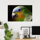 Parrot Bird Tropical Artwork Photo Poster (Thuiskantoor)