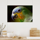 Parrot Bird Tropical Artwork Photo Poster (Keuken)