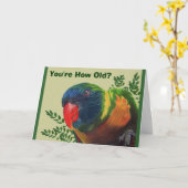 Parrot Birthday Kaart (Gele Bloem)
