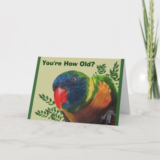 Parrot Birthday Kaart (Voorkant)