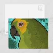Parrot Briefkaart (Voorkant / Achterkant)