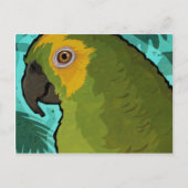 Parrot Briefkaart (Voorkant)
