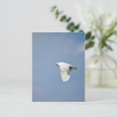 Parrot Briefkaart (Staand voorkant)