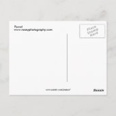 Parrot Briefkaart (Achterkant)