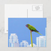 ~Parrot~ BRIEFKAART, AANGEPAST Briefkaart (Voorkant / Achterkant)