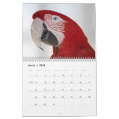 Parrot Calendar Kalender (Mar 2026)