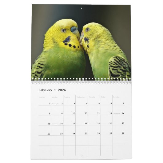 Parrot Calendar Kalender (Feb 2026)