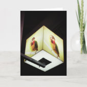 "Parrot Cash Register Light" Dank u kaart (Voorkant)