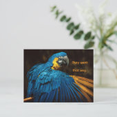 PARROT - CHANGE OF ADDRESS POSTCARD FEESTDAGENKAART (Staand voorkant)