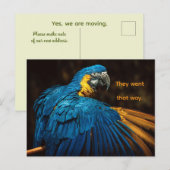 PARROT - CHANGE OF ADDRESS POSTCARD FEESTDAGENKAART (Voorkant / Achterkant)
