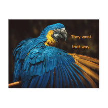 PARROT - CHANGE OF ADDRESS POSTCARD