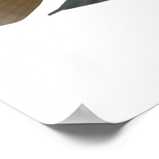 Parrot Cichlid Poster (Hoek)