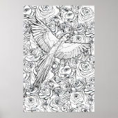 Parrot Clarity Poster (Voorkant)