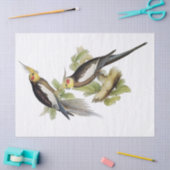 Parrot Cockatiel Art Tissuepapier (Craft)