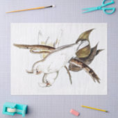 Parrot Cockatkato Bird  Tissuepapier (Craft)