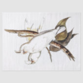 Parrot Cockatkato Bird  Tissuepapier (Voorkant)