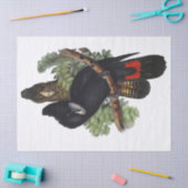 Parrot Cockatkato Bird Tissuepapier (Craft)