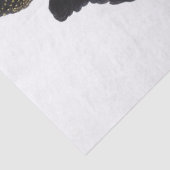 Parrot Cockatkato Bird Tissuepapier (Detail)