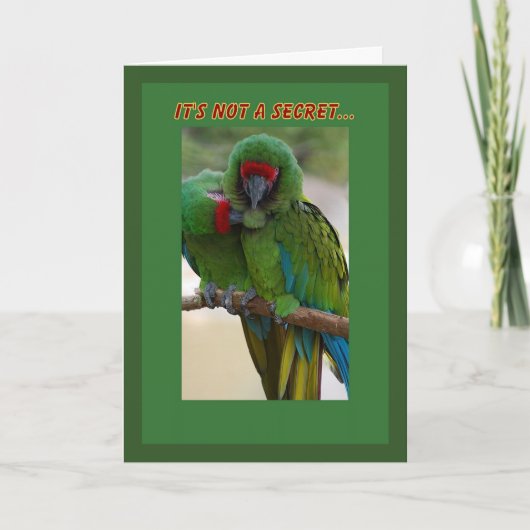 Parrot Couple Verjaardag Kaart (Voorkant)