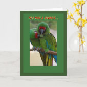 Parrot Couple Verjaardag Kaart (Gele Bloem)