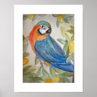 Parrot en Lemons Poster