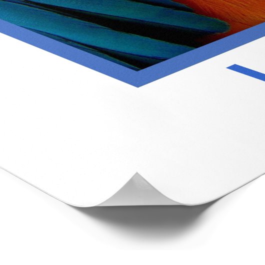 Parrot English, Loro Spaans Poster (Hoek)