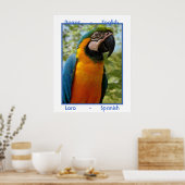 Parrot English, Loro Spaans Poster (Keuken)