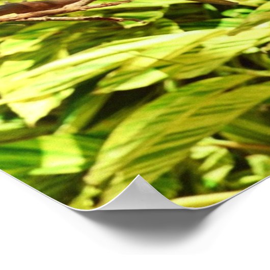 Parrot Friends Poster (Hoek)