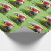 Parrot Gift Wrap Cadeaupapier (Hoek)