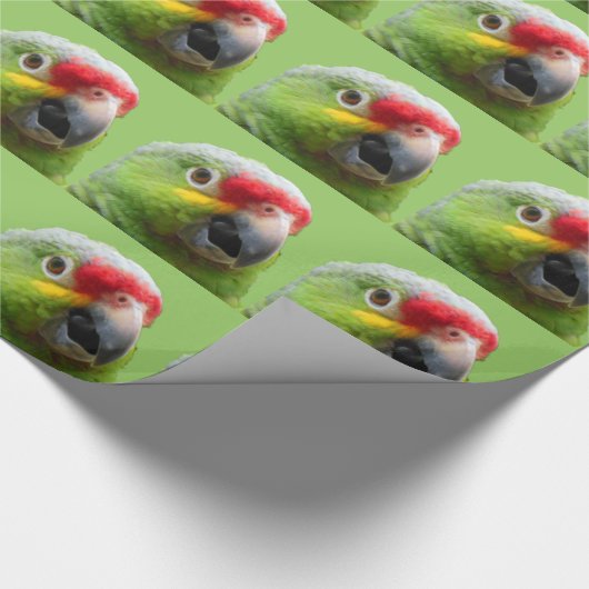 Parrot Gift Wrap Cadeaupapier (Hoek)